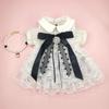 Pet Dog Dress Sweet Dog Princess Skirt Small Dog Cat Fashion Lace Shirt Skirt Spring Autumn Designer Clothes Poodle YorkiClothes