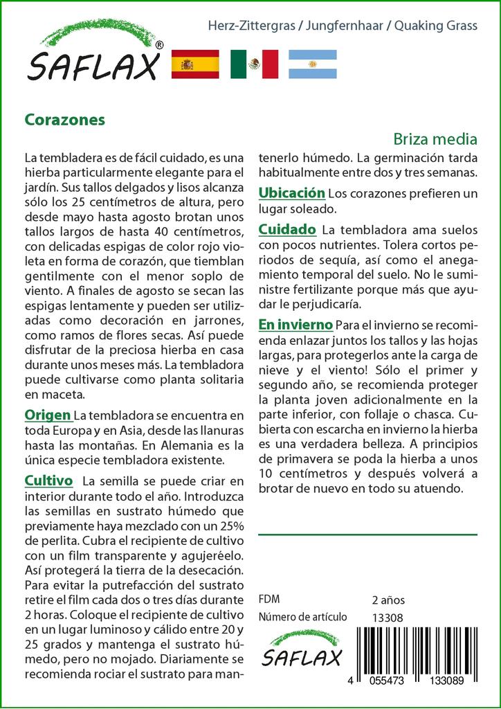 SAFLAX Κήπος στην Σακούλα - Κουφοχορτάρι - 75 σπόροι - Με υπόστρωμα σε κατάλληλη όρθια σακούλα - Briza media