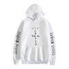 2025 New Spring and Autumn Men's Leisure Outgoing Sports and Fitness Hoodie Printed Leisure Loose Hooded Plush Couple Sweater