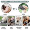 Honden – Accessoires voor hondentraining en opvoeding
