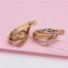 Purple Gold Earrings, Classic Temperament, Fashion Personality, High-End Design, Women'S Rose Gold-Plated Ear Buckles