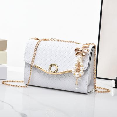Borsa da donna monospalla 2023 Nuova borsa a tracolla Borsa quadrata piccola Borsa a catena alla moda