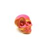 3D Skull Magnet Halloween Decoration Toy