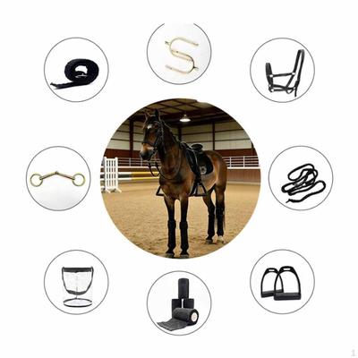 8 In 1 Equestrian Starter Kit Equipment Barn Gift Tack Set Horse Riding Supplies for Pasture