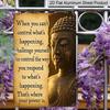2D Flat, 1pc "When You Can't Control What's Happening" Buddha Aluminium Metal Wall Decor Sign - 8"x12" Vintage Zen Inspirational Decor, Buddha Statue