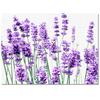Covorașe cu Flori de Liliac Mov și Lavandă Mov, Stil Rustic, pentru Dormitor, Sufragerie, Casă Modernă, Podea, Covor Mare Antiderapant, Preș pentru Ușa de Intrare