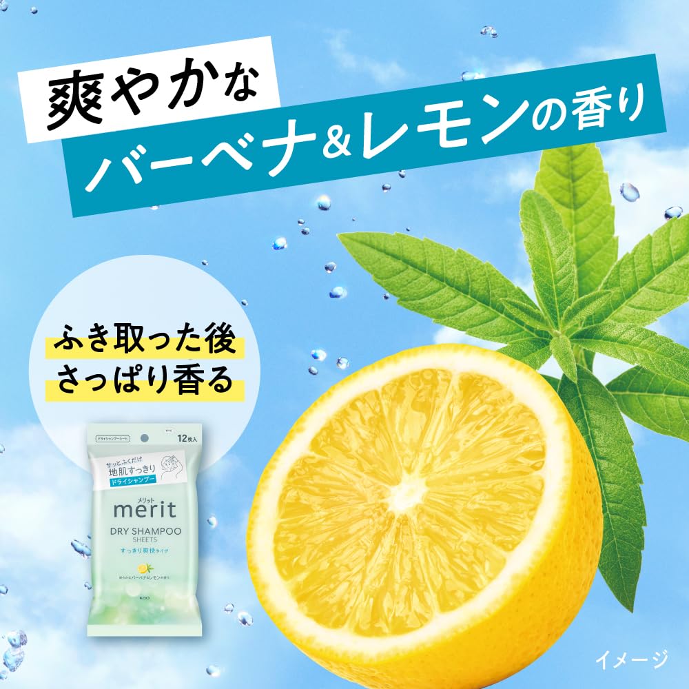 Merit Day Plus Dry Shampoo White 12 Sheets Sheets, Green,