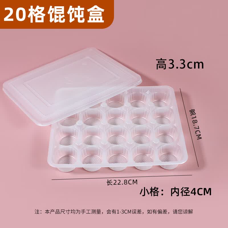 Disposable Dumpling & Wonton Freezer Containers