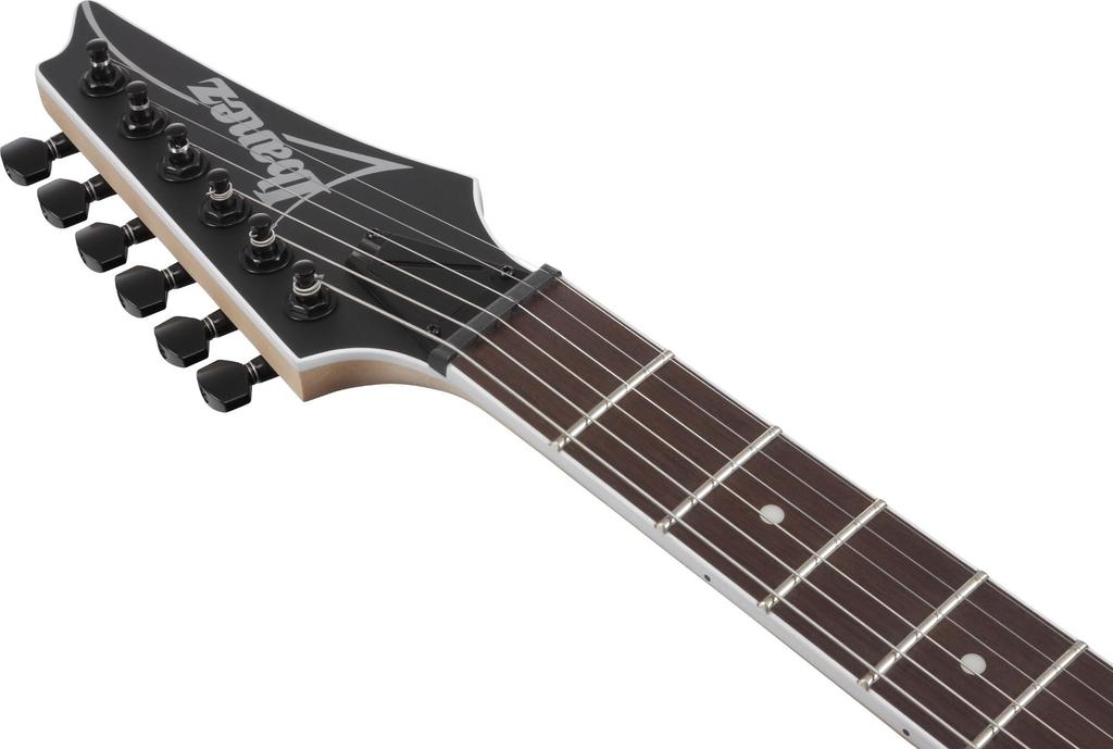 IBANEZ Electric Guitar "Black Flat" RG421EX-BKF