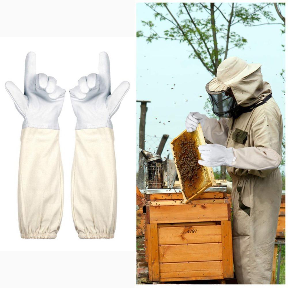 1 Pair Safe Professional Beekeeping Gloves Anti-bee Anti-sting Canvas Sheepskin Gloves Apiculture Beekeeper Beekeeping Tools