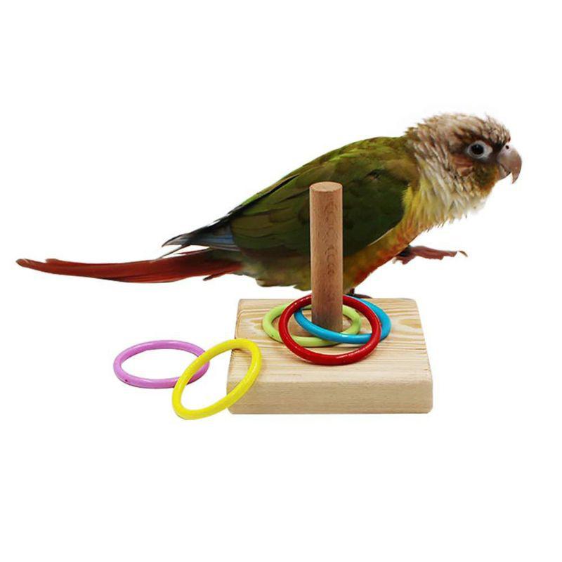 Bird Training Ring Toy Parrot Educational Fun Toy Set Colorful Rings For Interactive Pet Bird Training At Home