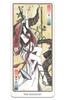 Tarot Cards Fortune Telling Japanese Mythology Tarot Matsuri II Arcana cards 2 substitute drawn by Naoki [Major (22 + cards) Yamamoto]