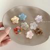 2Pcs Floral Acetic Acid Small Grab Clip Fashion Hairpin Fresh Mini Floral High-end Princess Head Cute Hair Accessory