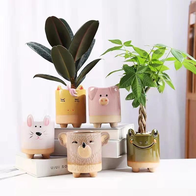 Frosk/Gris/Kanin Sukkulent Planting Blomsterpotte Kattunge Kanin Mini Hagepotte Kreativ Balkongdekorasjon Skrivebordspynt