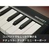 KORG (KORG) wireless MIDI keyboard controller with Bluetooth DTM plug-in microKey2 Air (micro key...