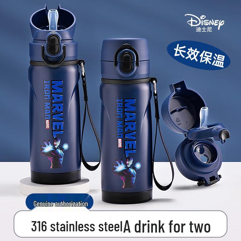 Disney Kids  316 Stainless Steel Dual-Drink Insulated Bottle with Straw