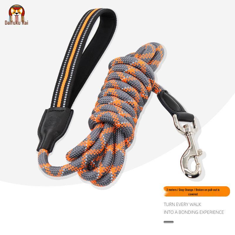 2m Anti-Shock Dog Leash with Collar for Medium & Large Breeds - Golden Retriever & Teddy Training Rope