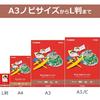 CANON Matte Photo Paper A4 100 Sheets MP-101A4100
