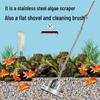 Grattoir à algues en acier inoxydable: Outil de nettoyage sûr pour plantes aquatiques, respectueux du verre