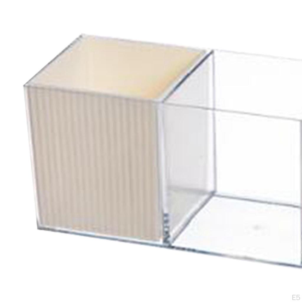 Organizer Brush Holder Compact Container Display for Tabletop Bedroom