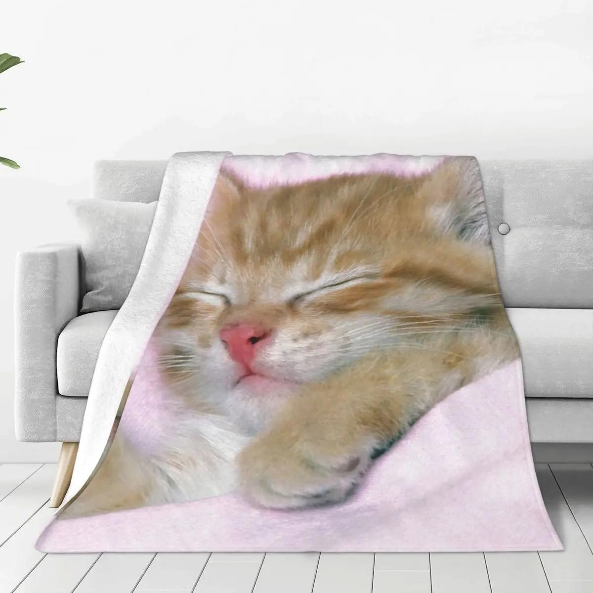 

Модные одеяла с милым спящим котом, детское плюшевое забавное дышащее одеяло с 3D принтом для домашних животных, зимнее покрывало