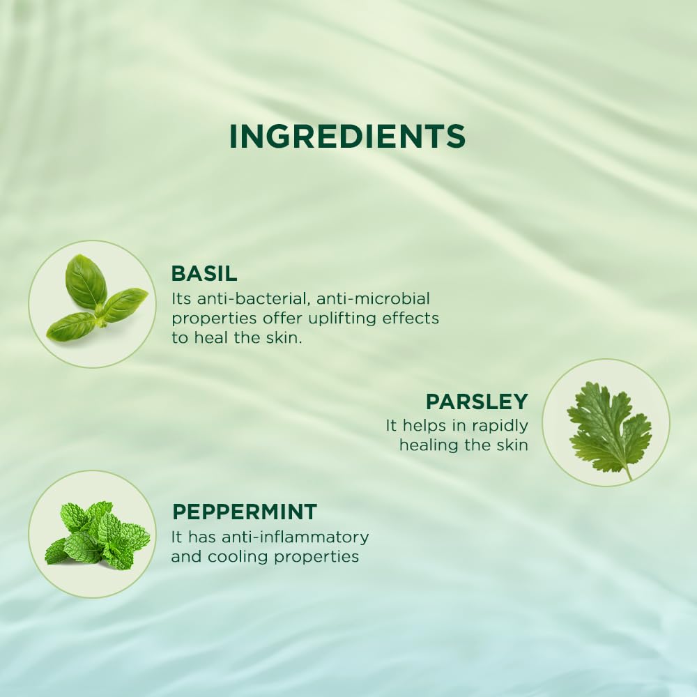 Biotique Basil & Parsley Body Wash 300ml, Revitalizing & Soothing Gel for All Skin Types, Natural Brightening Shower Cleanser