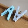 Windproof Non-Slip Plastic Clips: Small Clothes Pegs, Mosquito Net Clips, Towel Holders.
