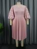 Plus Size Lace Lantern Sleeve Dress with Pleated Skirt - Christmas Gift