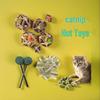 Kedi – Kedi Oyuncakları