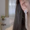 2025 Sparkling Square Zircon Tassel Earrings for Women - Elegant High-End Design