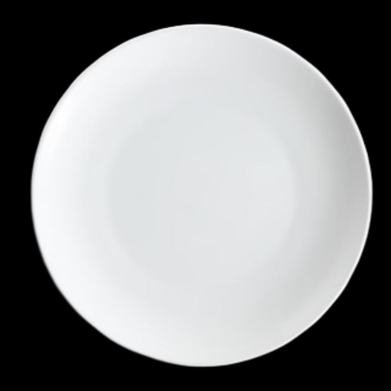 10-inch Ceramic Dinner Plate