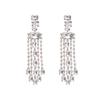 Silver Needle High-End Fashion Tassel Earrings – Elegant European & American Style with Niche Design Sense.