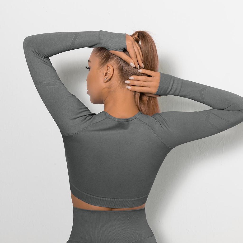 European & American Seamless Long-Sleeve Quick-Dry Yoga Top