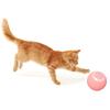 Automatic Cats Toy Balls for Entertains Cats Teaser Balls Pet Teasing Exercise Toy Boredom Dog Chasing Toy Indoor Playsets
