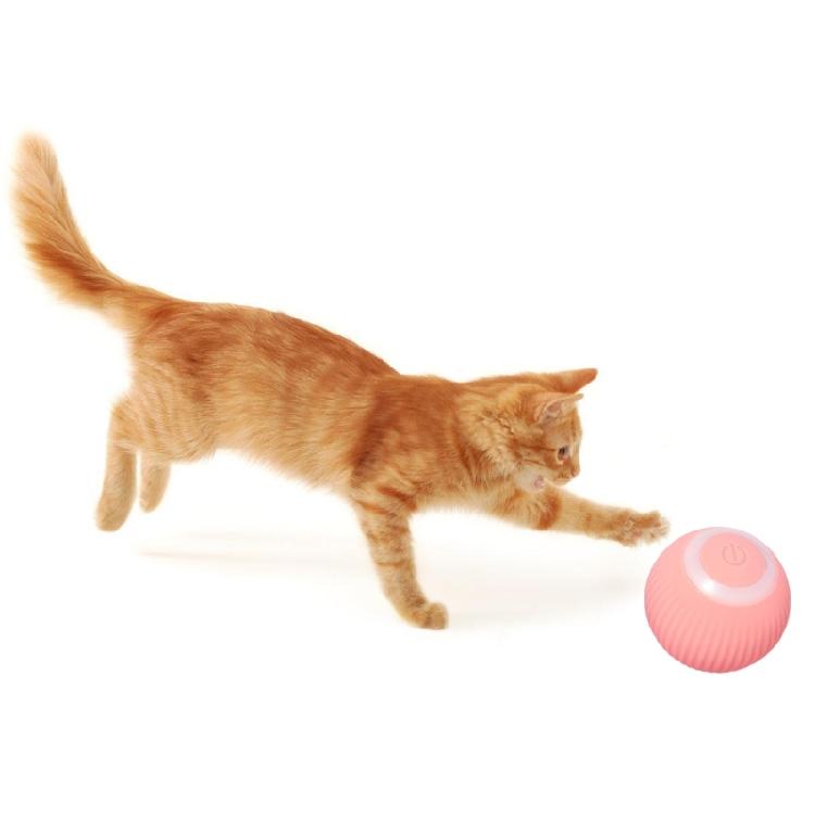 Automatic Cats Toy Balls for Entertains Cats Teaser Balls Pet Teasing Exercise Toy Boredom Dog Chasing Toy Indoor Playsets