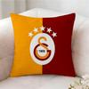 GgalatasarayS Brand Pillow Case Pillowcase Doublesided Printed Sofa Cushion Bedroom Headboard Pillow