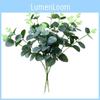 Silky Eucalyptus Leaf For Wedding And Party Decor With Lifelike Appearance For Photography