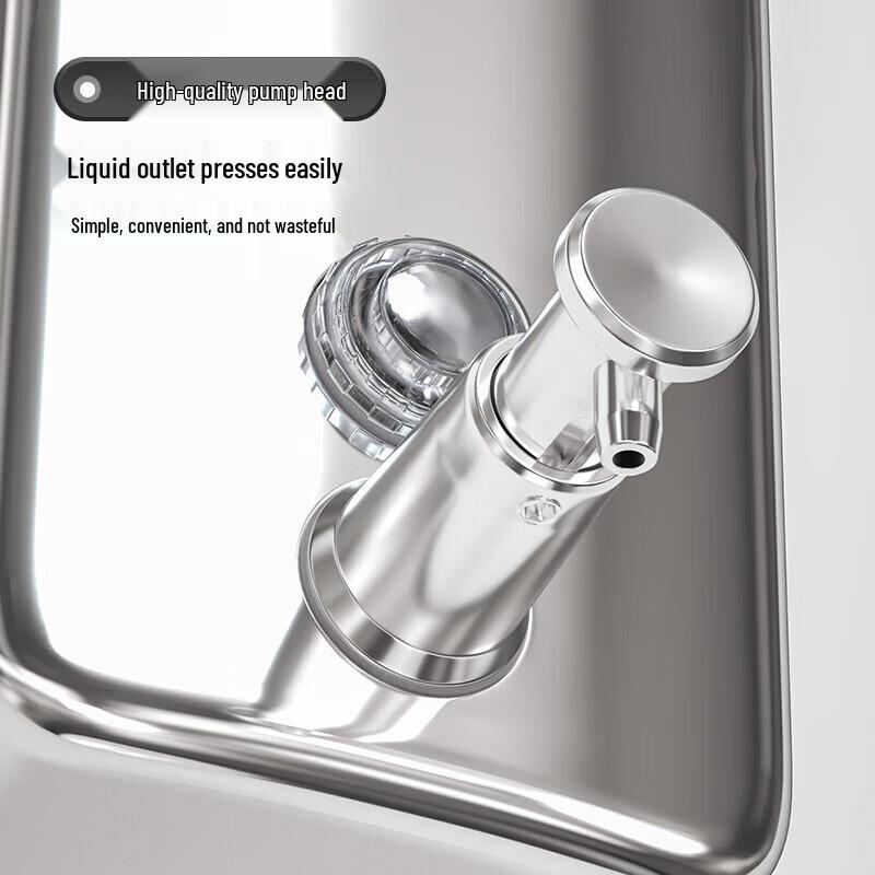 Homeglen Manual Wall-Mounted Stainless Steel Soap Dispenser