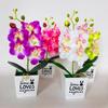 Artificial Pot Plant Acccessories Fake Phalaenopsis Flower