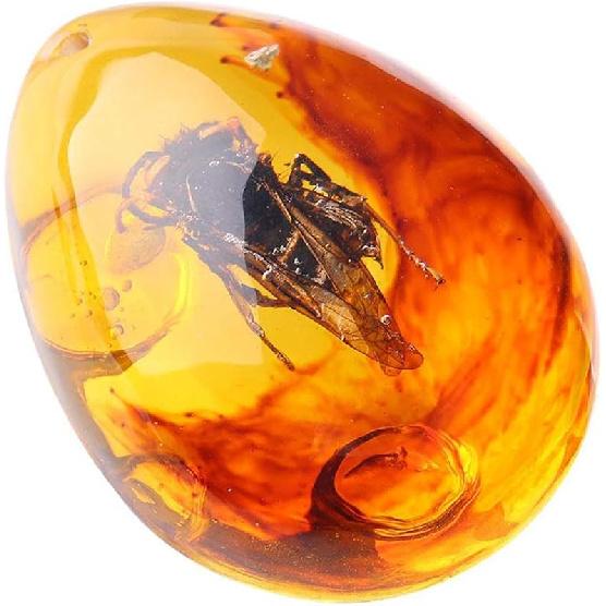 Queenbox Resin Amber Insect Pendant Butterfly Fossil Samples Stones Crystal Home Decorations and Jewelry Making