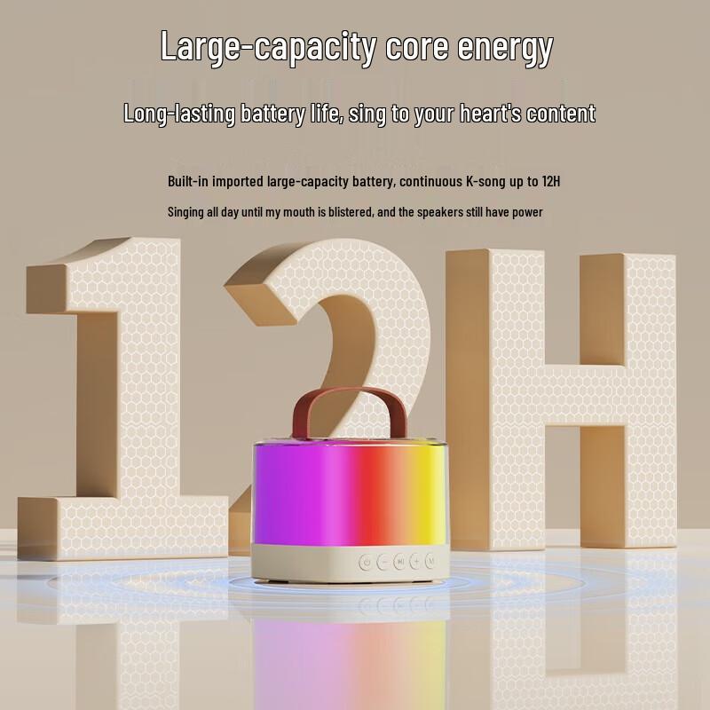 SANSUI V1 Wireless Bluetooth KTV Speaker with Microphones