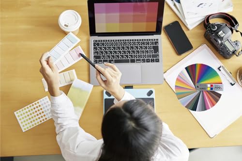 Nihonsikikenjigyo New Color Scheme Card 199b