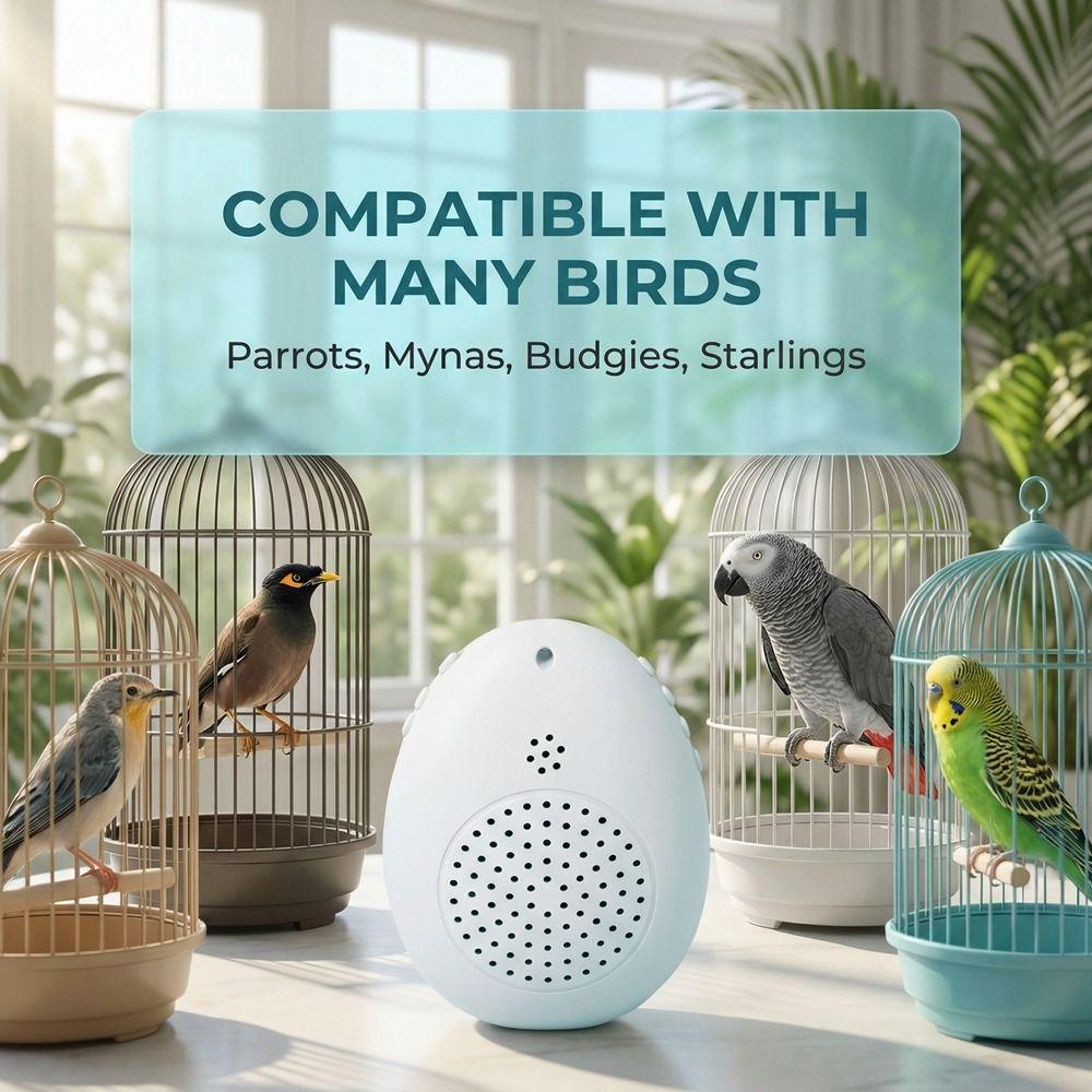 Playback Parrot Teach Talking Interactive Speech Training Machine Bird Repeater Games Playing