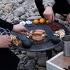 OEING Outdoor Folding Picnic Grill & Stove Set
