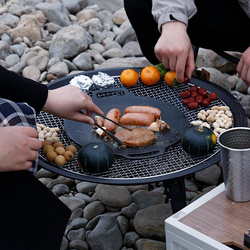 OEING Outdoor Folding Picnic Grill & Stove Set