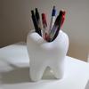 Funny Tooth Shape Pen Holder Pencil Pot Storage Container Desk Pen Stand Succulents Pot Organizer Home Decoration Planter