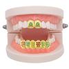 Glossy Single-Colored Diamond Hip-Hop Grillz Set with European and American Inspiration