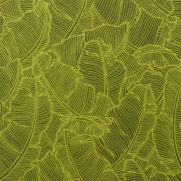 PAPERTREE 50*70 100g PARADISE Kaki/Anis - Lot de 10 feuilles {couleur}