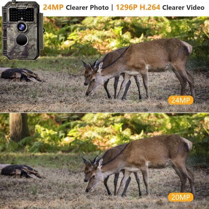 Caméra de Chasse - Folgtek - 24MP - Vidéo 1296P - WiFi - Vision Nocturne 23m