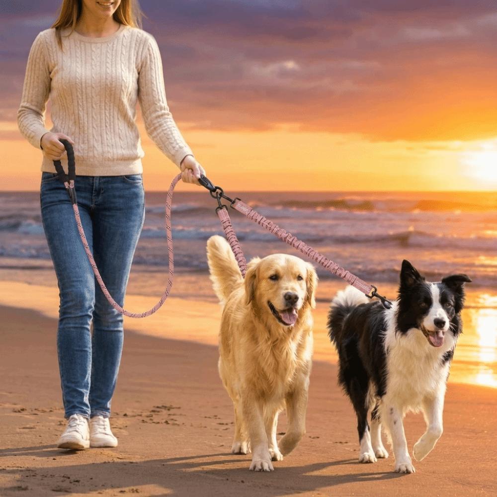 Shock Absorbing Two Dog Lead Rope Stretchable Multifunctional Double Headed Leash Removable Comfort Handle Double Head Dog Rope